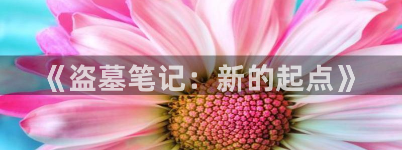 哪里来的大宝贝漫画包子漫画：《盗墓笔记：新的起点》