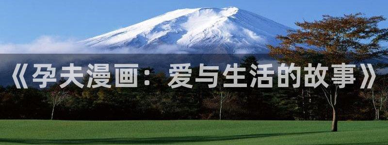 包子漫画在线官方页面入口：《孕夫漫画：爱与生活的故事》