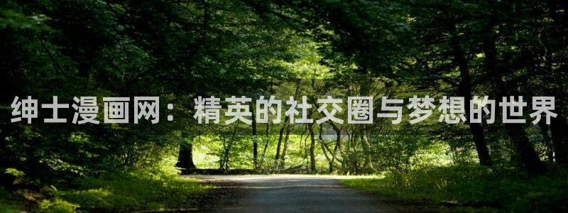 包子漫画去广告版：绅士漫画网：精英的社交圈与梦想的世界